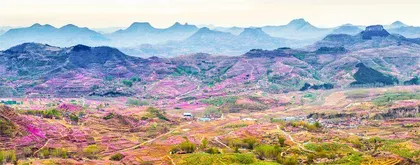 山东蒙阴：山里飞出幸福梦0