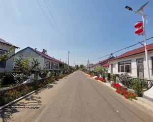 新时代村：电力点亮小康路