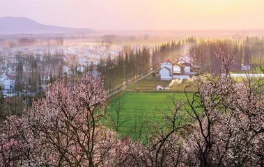 安徽宿州埇桥区：搭文旅舞台  唱振兴大戏1