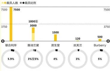 2024全球裁员图鉴7