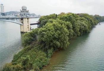 兰江“小上海”往事：早茶、花船与鱼鳞图册0