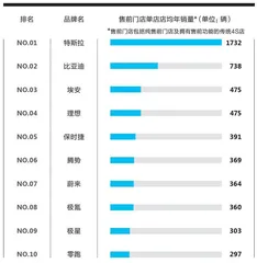 “1势力”新能源车品牌魅力榜3