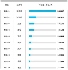 “1势力”新能源车品牌魅力榜4