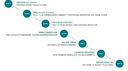 人造子宫离我们还有多远？3