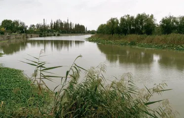 清江浦，他们从这里航向世界