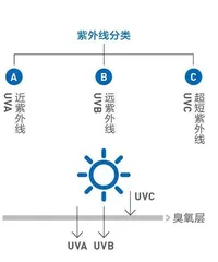 来，让我们预测一下2022