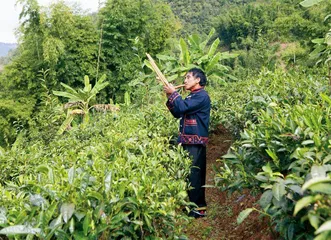 倮黑山上的和声7