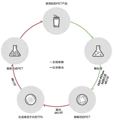 让PET塑料垃圾彻底“消失”，最快只需要一天1