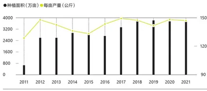 中国棉花谋变2