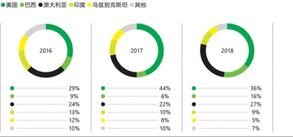 中国棉花谋变5