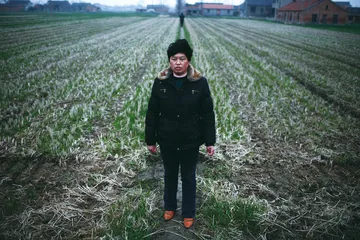 蝴蝶效应下的盐城水危机