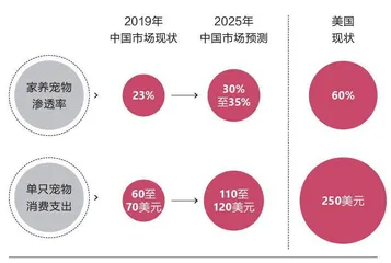 千亿规模的宠物市场，下一个美妆级赛道?2