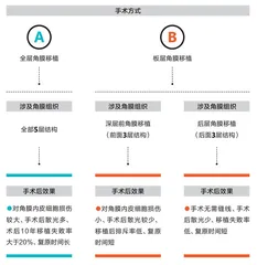 努力了上百年的人工角膜，为何还在路上？2