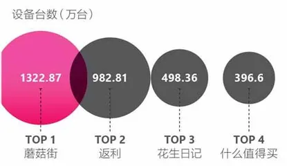 社交电商行业白皮书1