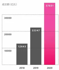 社交电商行业白皮书3