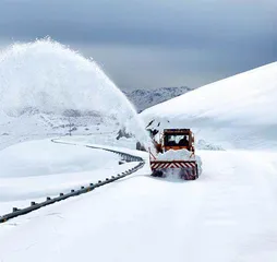 守护天山路