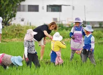 “希望”在中国的田野上5