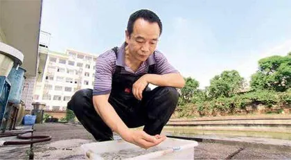 父子“鱼院士”，让中国人吃好鱼1