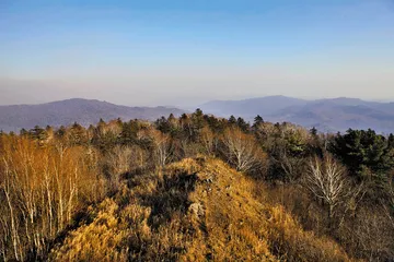 寻虎：黑龙江完达山生态调查5
