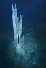 代谢优先5