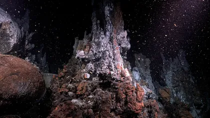 生命的起源