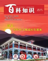 百科知识2021年第13期