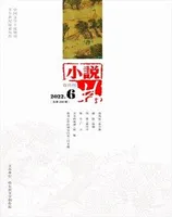 小说林2022年第6期