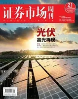 证券市场周刊2022年第21期