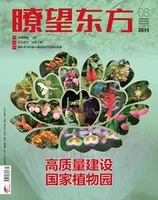 瞭望东方周刊