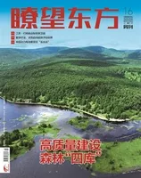 瞭望东方周刊