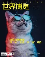 世界博览2023年第19期