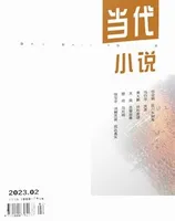 当代小说2023年第2期