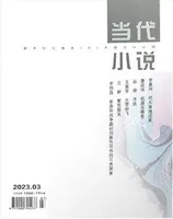 当代小说2023年第3期