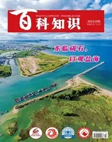 百科知识2023年第10期