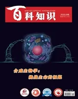 百科知识2023年第8期