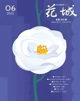 花城2023年第6期