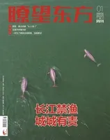 瞭望东方周刊