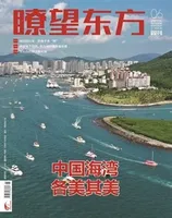 瞭望东方周刊