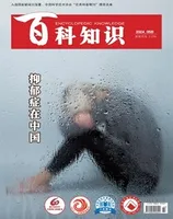 百科知识2024年第10期