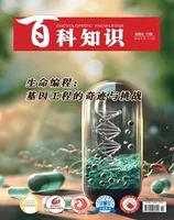 百科知识2024年第22期