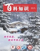 百科知识2024年第2期