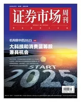 证券市场周刊2024年第46期