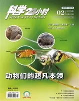 科学24小时